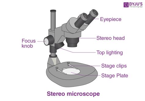 Introduction to Stereomicroscopy .